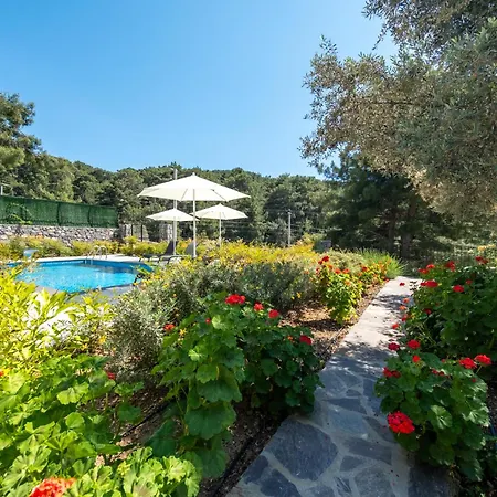 Olive Hills - Family-friendly Luxury Yesiluzumlu By Sunworld * フェティエ